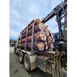 Aripa semiremorca cu 2 axe 