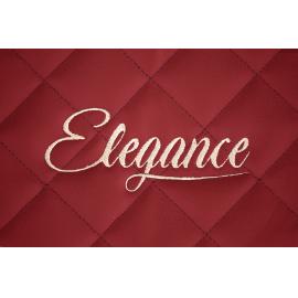 Set huse scaune compatibil cu DAF XF 95 / XF 105 / CF / LF 2005-2013